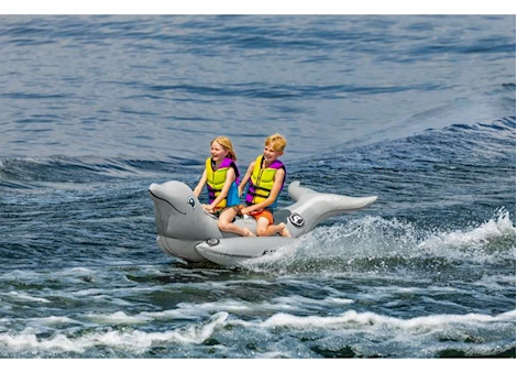 Airhead Dolphin 2 Person Towable Tube
