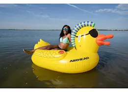 Airhead Punk Duck Pool Float