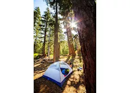 ALPS Brands Lynx 4-person tent