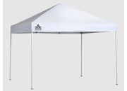 Arrow Sheds Marketplace mp100 ultra compact 10 x 10 straight leg canopy