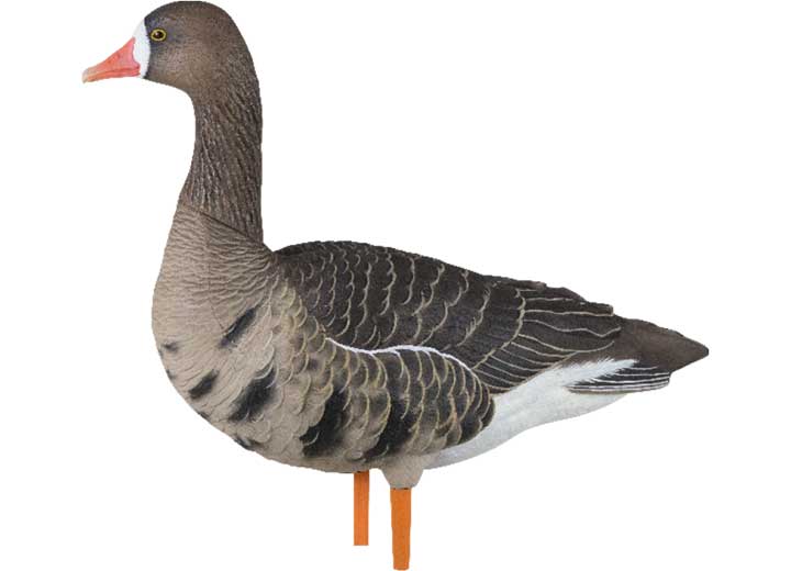 AVIAN-X AXP SPECKLEBELLY PAINTED GOOSE DECOYS FUSION PACK