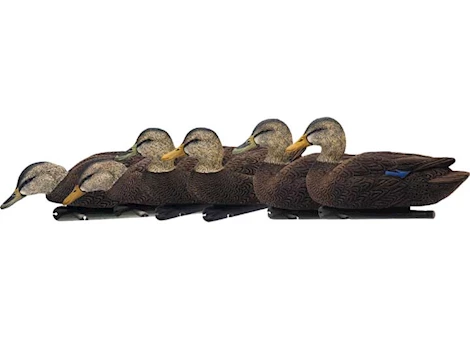 Avian-X Topflight Flocked Black Duck Decoys
