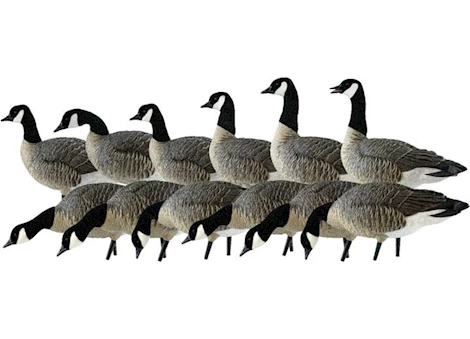 Avian-X AXP Lessers Painted Goose Decoys Outfitter Pack Main Image