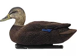 Avian-X Topflight Flocked Black Duck Decoys