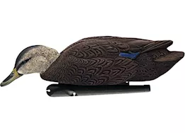 Avian-X Topflight Flocked Black Duck Decoys