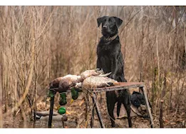 Avian-X Topflight Mallard Decoys Fusion Pack