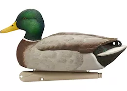 Avian-X Topflight Mallard Decoys Fusion Pack