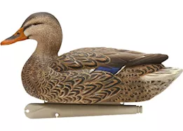 Avian-X Topflight Mallard Decoys Fusion Pack