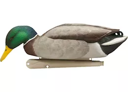 Avian-X Topflight Mallard Decoys Fusion Pack