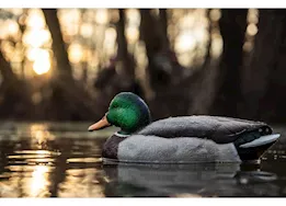 Avian-X Topflight Mallard Decoys Fusion Pack