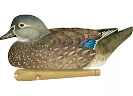 Avian-X Topflight Wood Duck Decoys