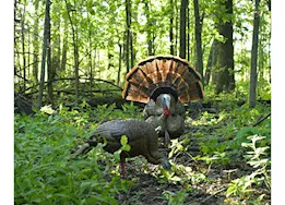 Avian-X HDR Feeding Hen Turkey Decoy