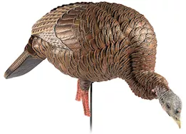 Avian-X HDR Feeding Hen Turkey Decoy
