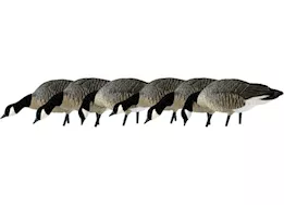 Avian-X AXP Lessers Painted Goose Decoys Feeder Pack