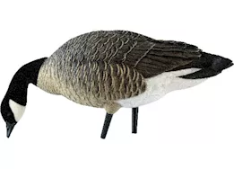 Avian-X AXP Lessers Painted Goose Decoys Feeder Pack