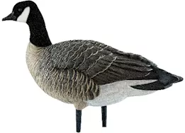 Avian-X AXP Lessers Painted Goose Decoys Outfitter Pack