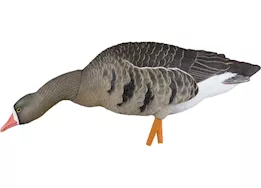 Avian-X AXP Specklebelly Painted Goose Decoys Fusion Pack