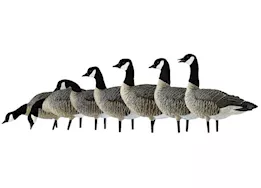 Avian-X AXF Lessers Flocked Goose Decoys Outfitter Pack
