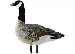 Avian-X AXF Lessers Flocked Goose Decoys Outfitter Pack