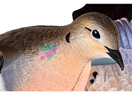 Avian-X Powerflight Dove Decoy – Life-Size with 360-Degree Spinning Wings