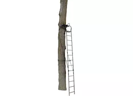 Big Game Warrior Pro Ladder Stand