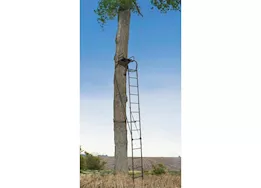 Big Game Warrior Pro Ladder Stand