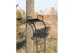 Big Game Warrior Pro Ladder Stand