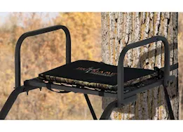 Big Game Warrior Pro Ladder Stand