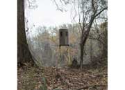 Banks Outdoors Stump 2 Hunting Blind