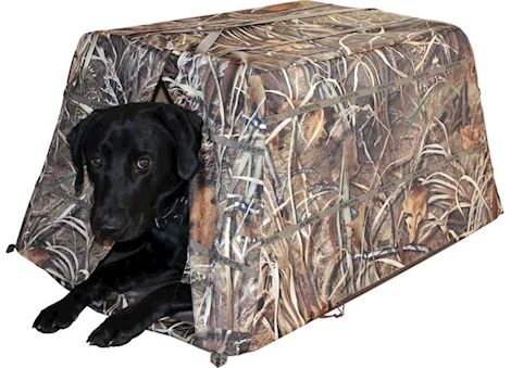 Beavertail Dog Blind Main Image