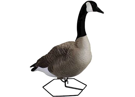 Beavertail Boats and Decoys Dominator series full body decoys active 4 pack Main Image
