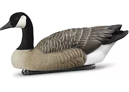 Beavertail Boats and Decoys Rogue series floating goose decoys 6pk