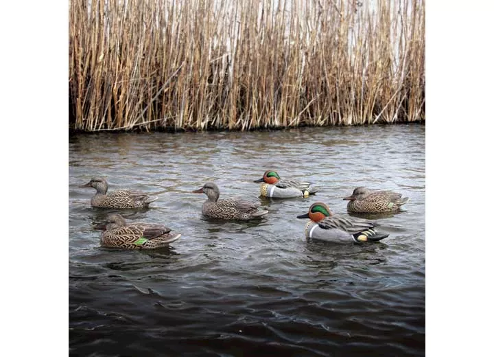 Beavertail Boats and Decoys Refuge series teal floater decoys 6pk