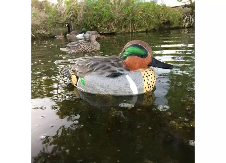 Beavertail Boats and Decoys Refuge series teal floater decoys 6pk