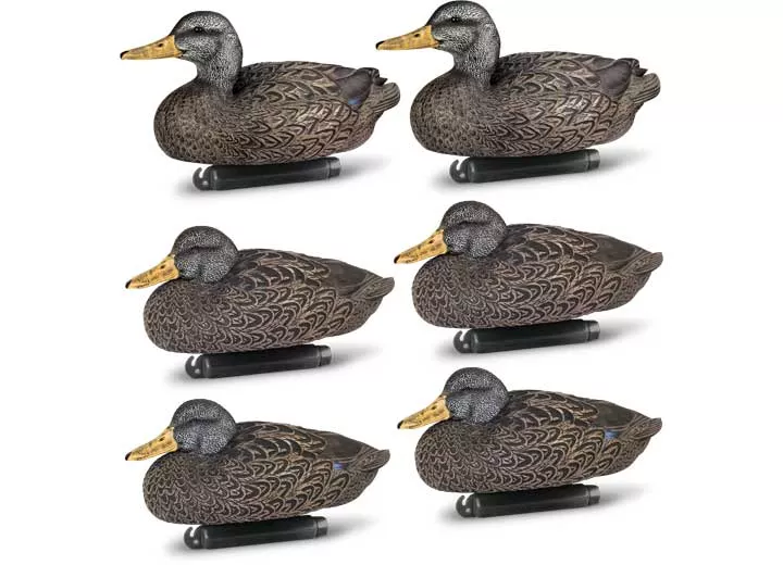 Beavertail Boats and Decoys Refuge series black duck floater decoys 6pk