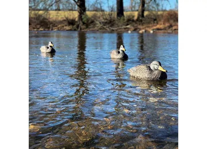 Beavertail Boats and Decoys Refuge series black duck floater decoys 6pk