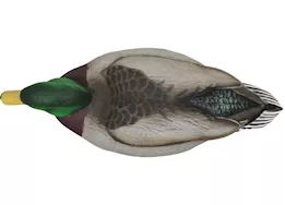 Beavertail Boats and Decoys Refuge series floater mallards decoys 6pk