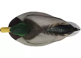 Beavertail Boats and Decoys Refuge series floater mallards decoys 6pk