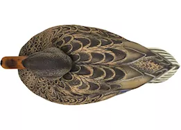 Beavertail Boats and Decoys Refuge series floater mallards decoys 6pk