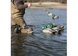 Beavertail Boats and Decoys Refuge series floater mallards decoys 6pk