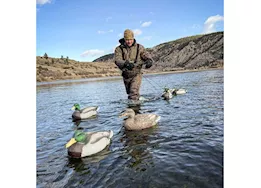 Beavertail Boats and Decoys Refuge series floater mallards decoys 6pk