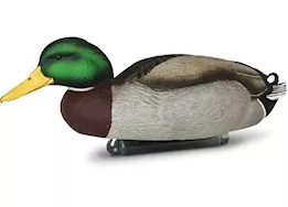 Beavertail Boats and Decoys Refuge series floater mallards decoys 6pk