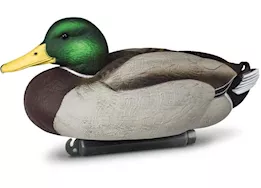 Beavertail Boats and Decoys Refuge series floater mallards decoys 6pk