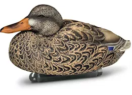 Beavertail Boats and Decoys Refuge series floater mallards decoys 6pk