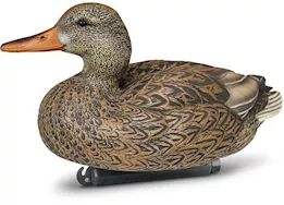 Beavertail Boats and Decoys Refuge series floater mallards decoys 6pk