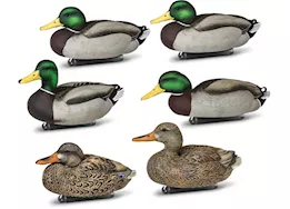 Beavertail Boats and Decoys Refuge series floater mallards decoys 6pk