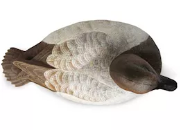 Beavertail Boats and Decoys Refuge series canvasback floater decoys 6pk