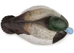 Beavertail Boats and Decoys Refuge series bluebill floater decoys 6pk