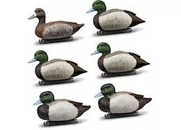 Beavertail Boats and Decoys Refuge series bluebill floater decoys 6pk