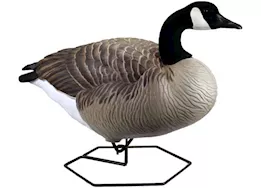 Beavertail Boats and Decoys Dominator series full body decoys sentry 4 pack